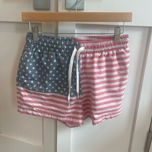 Chubbies patriotic swim trunks